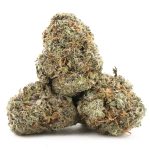 Wholesale - Jungle Apples - AAA - Image 2