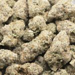 Modified Grapes AAAA - Indica - Image 3