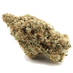 Orange Ghost AAAA - Hybrid