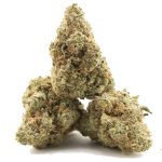 Orange Ghost AAAA - Hybrid - Image 2