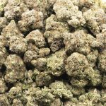 Scarface OG AAA - Indica - Image 3