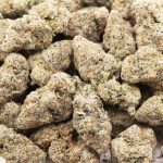 Space Monkey Craft - Indica - Image 3