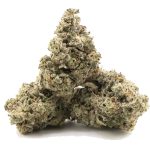 Sundae Strudel AAA - Hybrid - Image 2