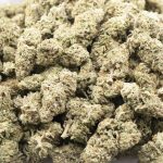 Sundae Strudel AAA - Hybrid - Image 3