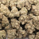 Wholesale - Tropical Berry - Craft