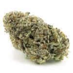 Wholesale - Black Truffle - AAAA - Image 3