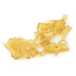 Shatter - Blueberry Cough - Indica