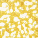 Shatter - Blueberry Cough - Indica - Image 2