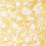 Shatter - Lemon Stardawg - Sativa - Image 2