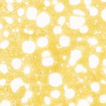 Shatter - Pie Hoe - Indica - Image 2