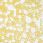 Shatter - Sourlope - Sativa - Image 2