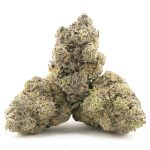 Mind Fiesta Craft - Hybrid - Image 2