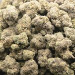 Wholesale - Mind Fiesta - Craft