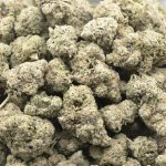 Permanent Marker Craft - Indica - Image 3