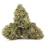 Strawberry Dream AA - Hybrid - Image 2