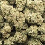 Strawberry Dream AA - Hybrid - Image 3