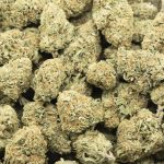 Wholesale - Unicorn Piss - AA