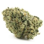 Wholesale - Violator Kush - AA - Image 3