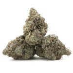 Wholesale - Cement Shoes - Craft - Image 2