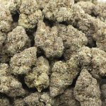 Wholesale - Cement Shoes - Craft