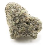 Gary Payton x Jealousy Craft - Hybrid