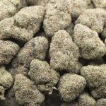 Gary Payton x Jealousy Craft - Hybrid - Image 3