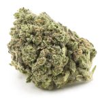 Wholesale - Purple Fat Pie - AA - Image 3