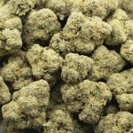 Wholesale - Supreme Gelato - AAAA