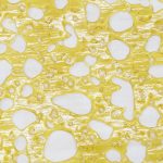 Shatter - Romulan - Indica - Image 2