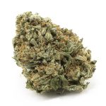 Lemonhead A - Sativa
