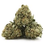 Lemonhead A - Sativa - Image 2