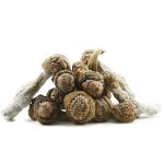 Shrooms - Penis Envy - Image 2