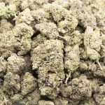 Wholesale - Octane Mint Sorbet - AAA