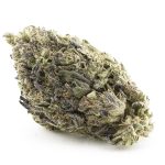 Papaya Slapper A - Hybrid