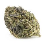 Sherbet Cookies A - Sativa