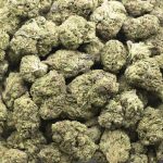 Sherbet Cookies A - Sativa - Image 3