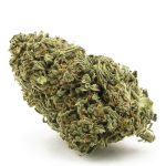 Silver Haze AA - Sativa