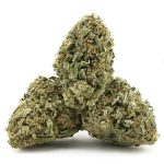 Silver Haze AA - Sativa - Image 2