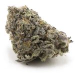 Sundae Cake AA - Indica