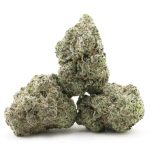 Black Tuna AAAA - Hybrid - Image 2