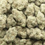 Wholesale - Black Tuna - AAAA