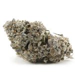 Guava Berry Kush AAAA - Indica