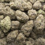 Wholesale - White Truffle - AAAA