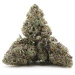 Mendo Kush AA - Indica - Image 2