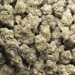 Wholesale - Mendo Kush - AA