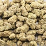 Sour Joker A - Sativa - Image 3