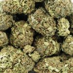 Viper Cookies A - Indica - Image 3