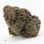 White Master AAA - Hybrid