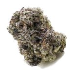 Wholesale - Great White Shark - Craft - Image 3
