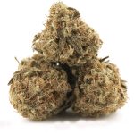 Red Diesel AA - Hybrid - Image 2